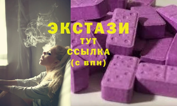 прущие грибы Верхний Тагил