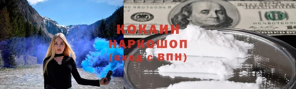 прущие грибы Верхний Тагил