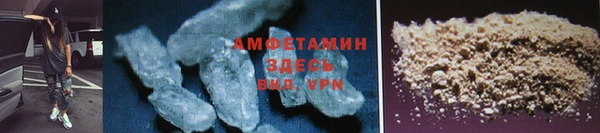 прущие грибы Верхний Тагил
