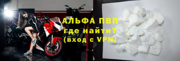 прущие грибы Верхний Тагил