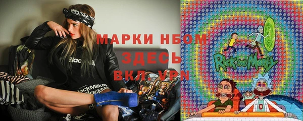 прущие грибы Верхний Тагил