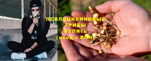 прущие грибы Верхний Тагил